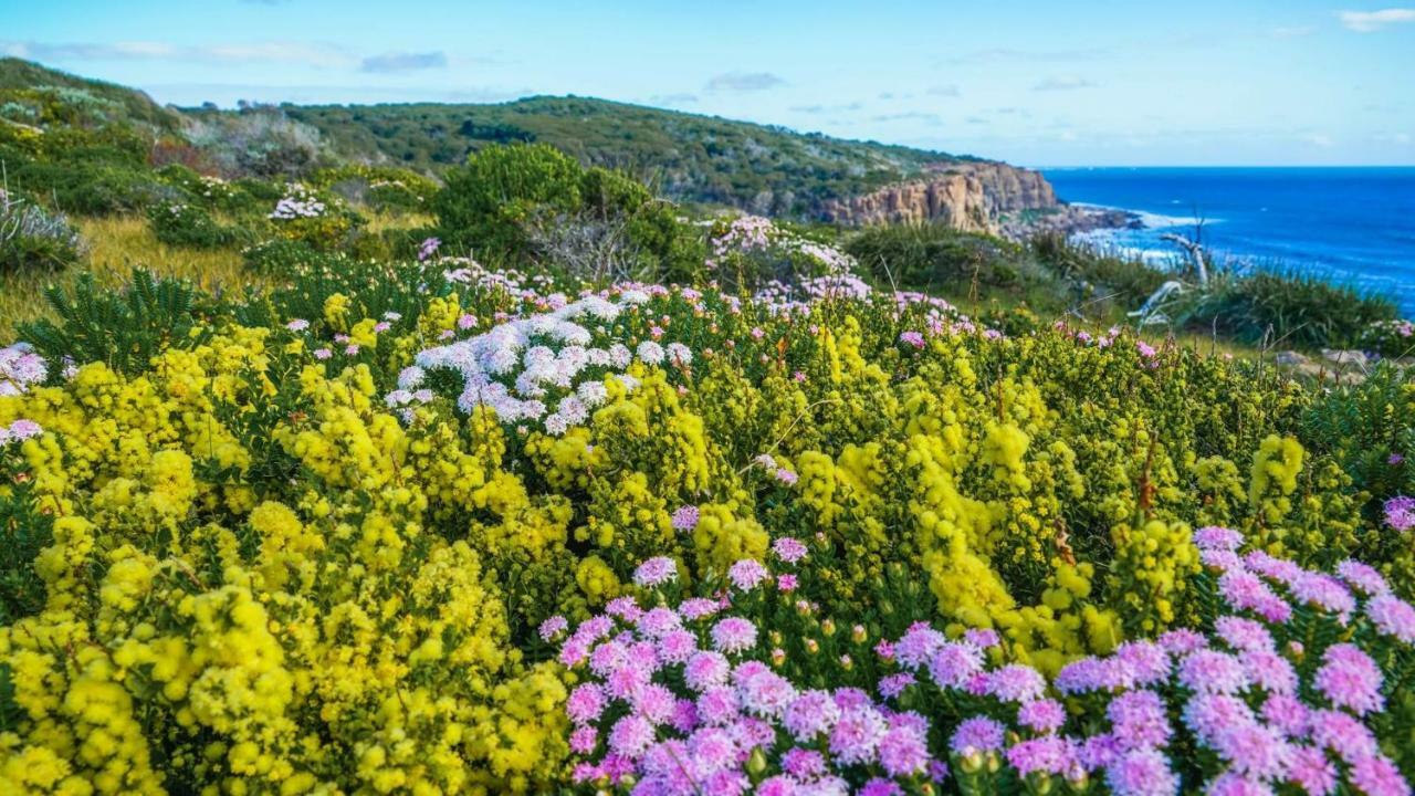 By The Sea Margaret River Gnarabup Exterior foto